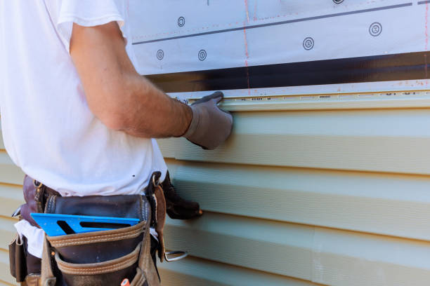 Best Fascia and Soffit Installation  in Dove Valley, CO